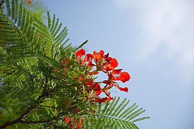 Xbox页面显示：《战地2042》评级17+ B测容量近100GB