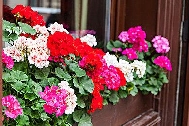 复古FPS《Selaco》明年登陆Steam抢先体验平台